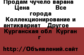 Продам чучело варана › Цена ­ 15 000 - Все города Коллекционирование и антиквариат » Другое   . Курганская обл.,Курган г.